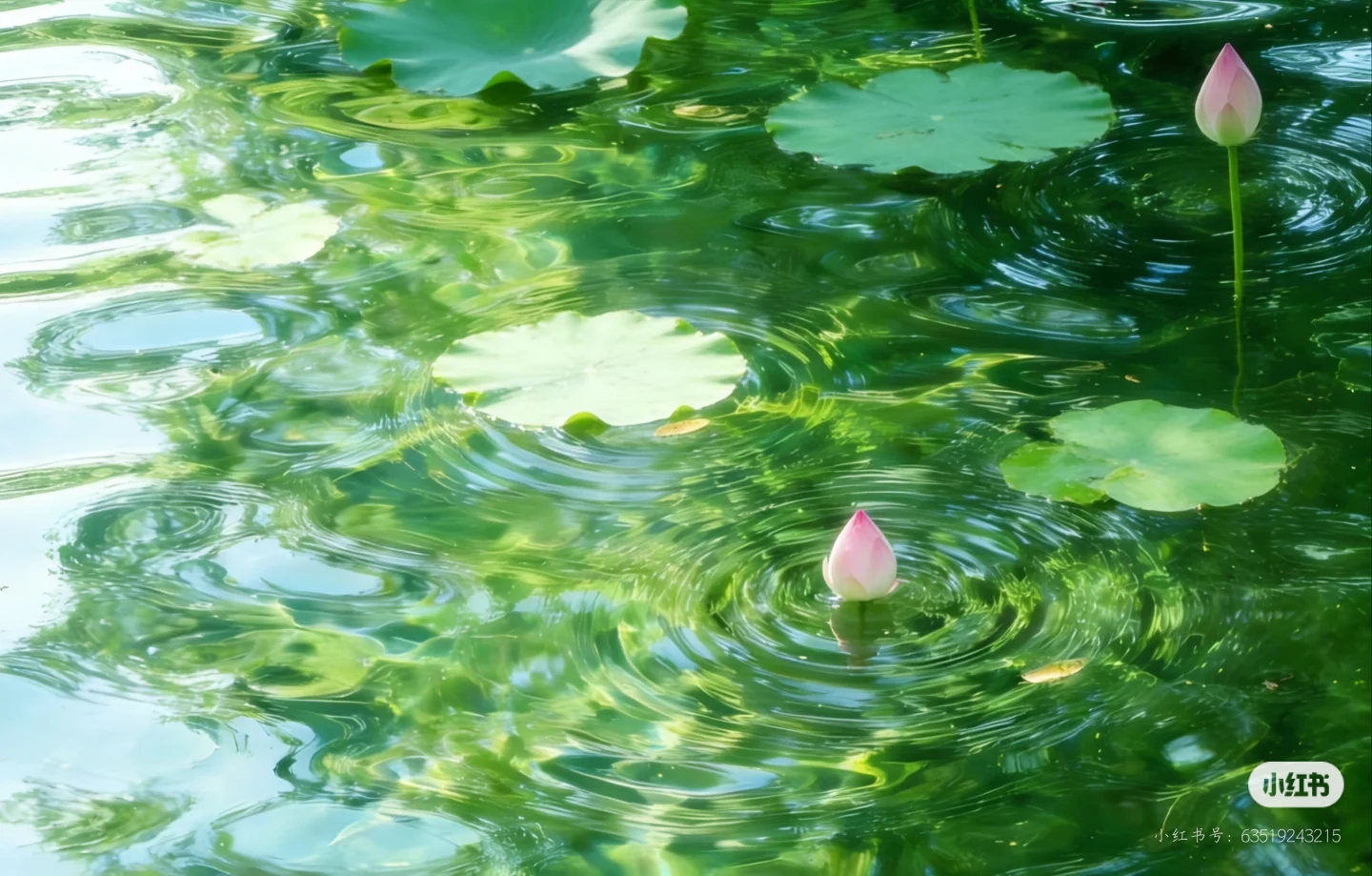 数据结构